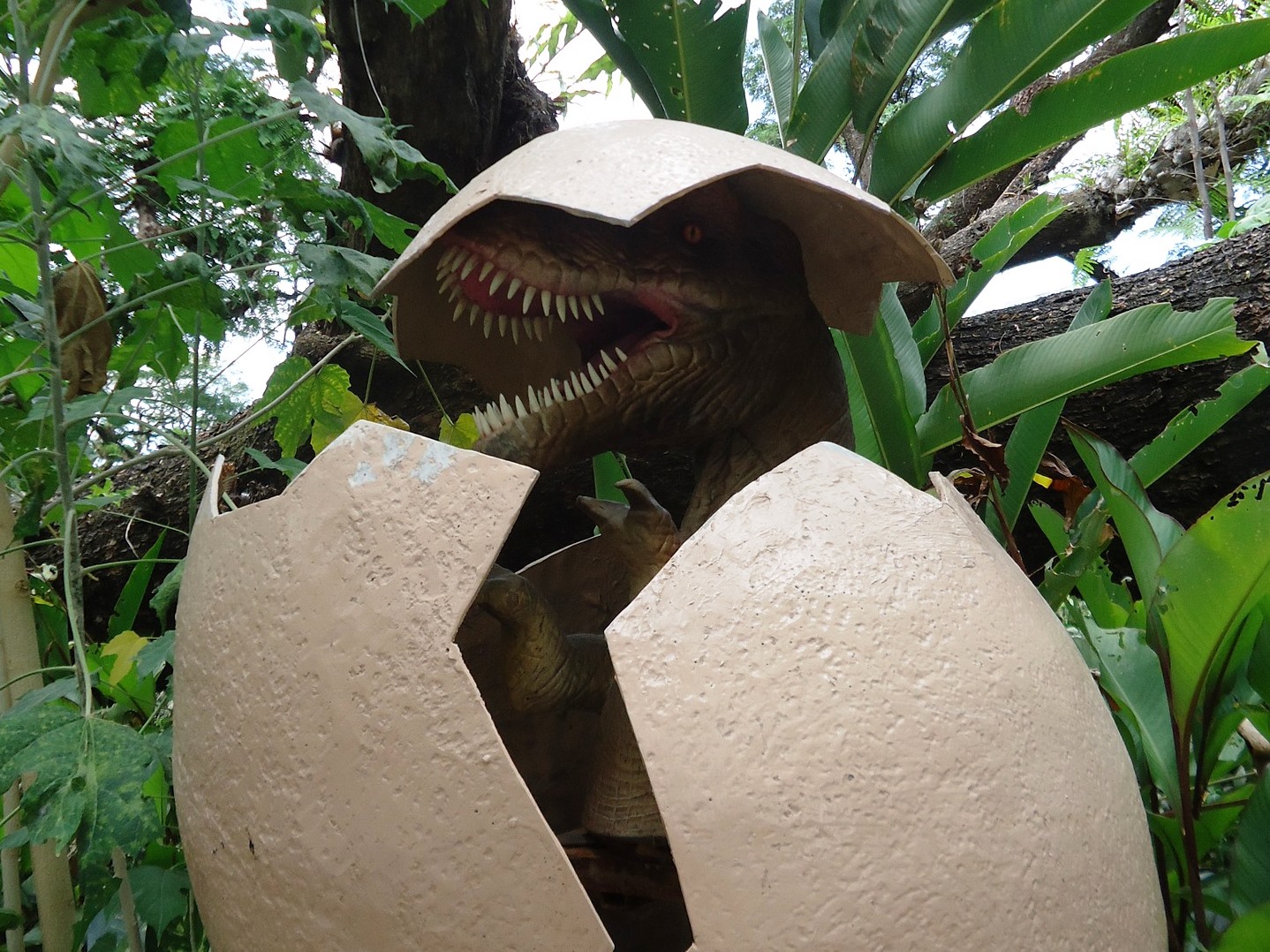 Kategori Unik Dinosaurus